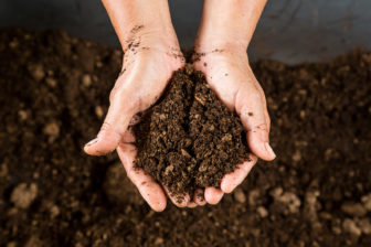 close-up-hand-holding-soil-peat-moss