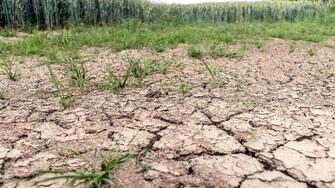 secheresse-la-meurthe-et-moselle-passe-en-situation-de-vigilance_large