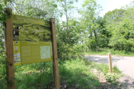 Chantier nature au plateau de Domgermain