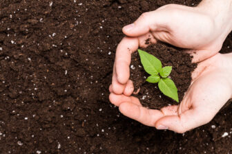 SOS Compost !