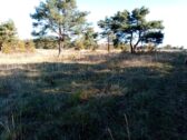 Découverte des pelouses calcaires