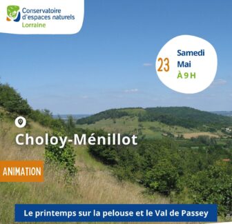 Le printemps sur la pelouse et le Val de Passey