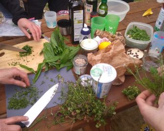 Plantes sauvages à croquer