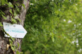 Un sentier d'interprétation le long de l'Ingressin